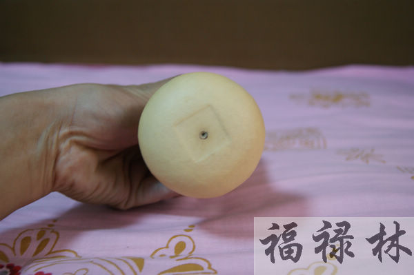 nEO_IMG_DSC09154.jpg