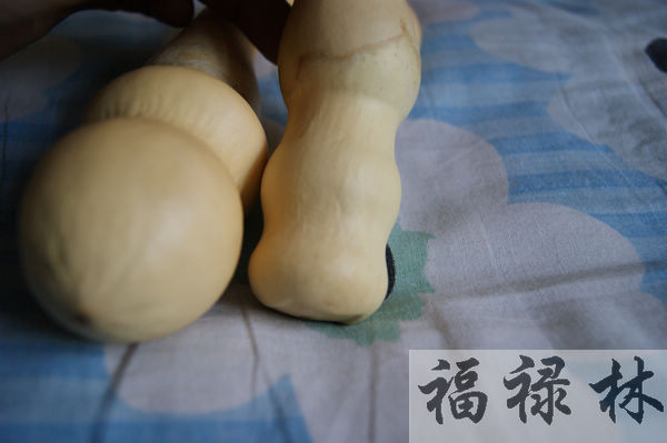 nEO_IMG_DSC09643.jpg