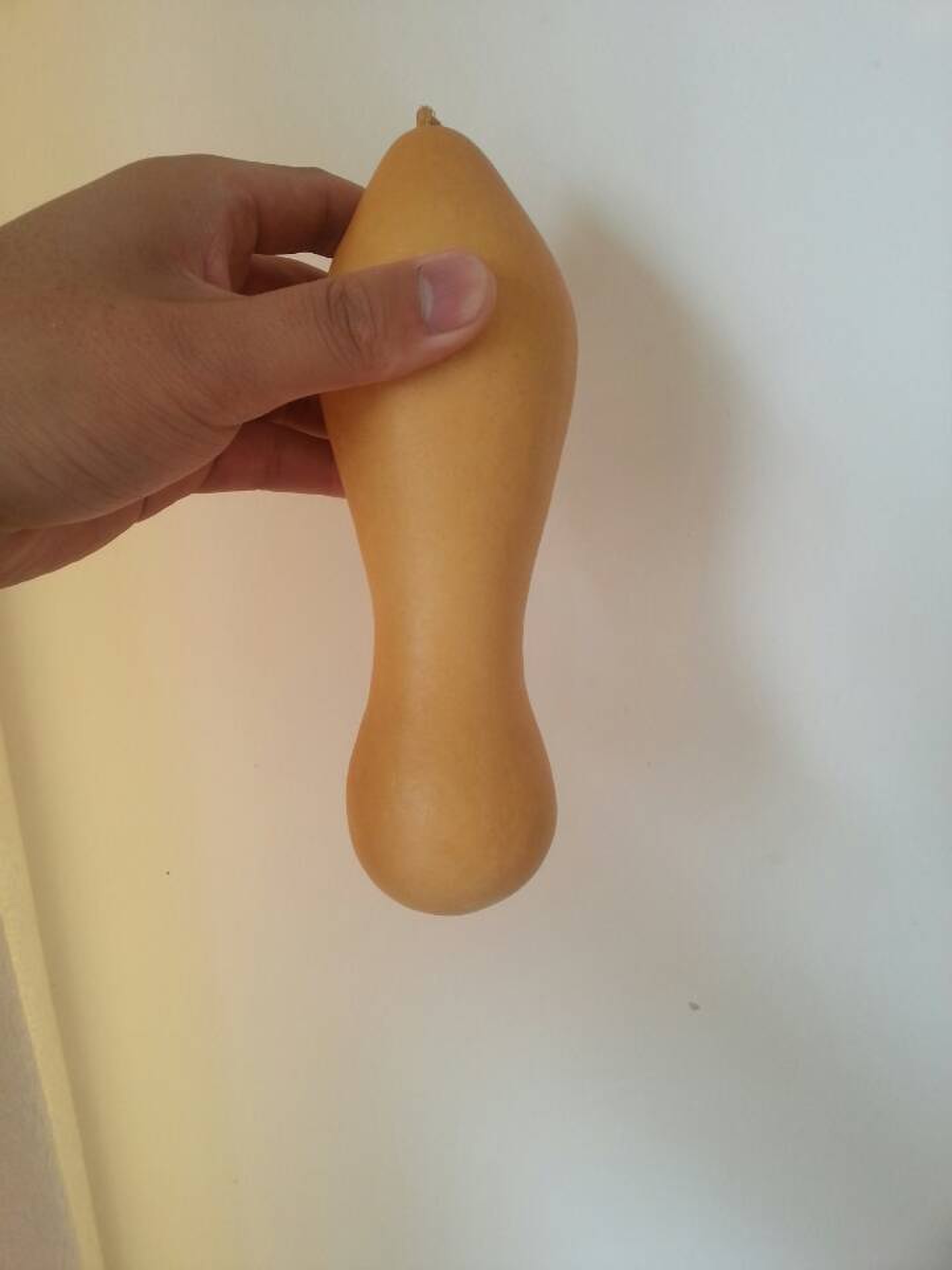 66.jpg