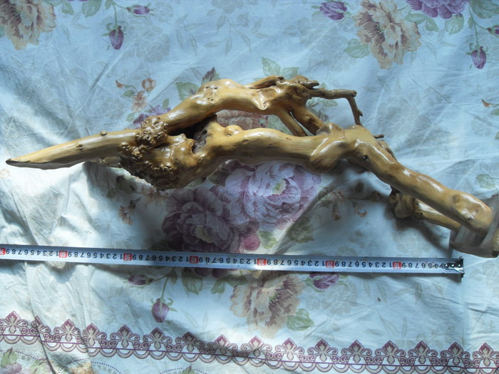 SDC12010.JPG