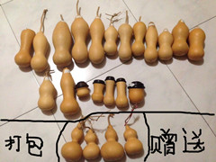 大本长1_副本_副本.jpg