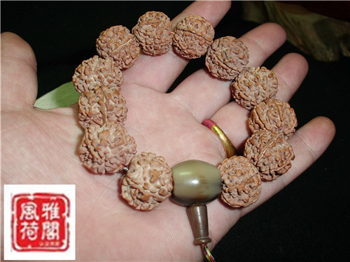 CIMG2894_副本.jpg