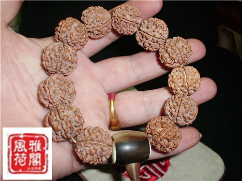 CIMG2884_副本.jpg
