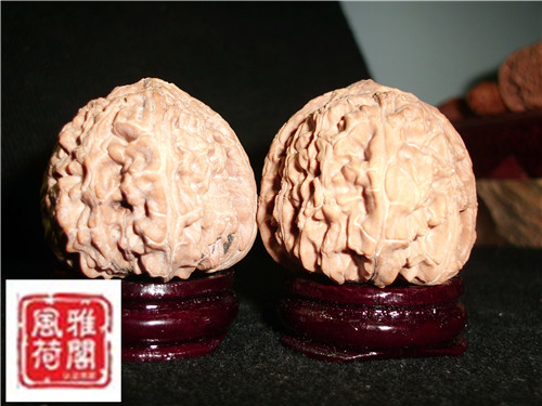 CIMG3155_副本.jpg
