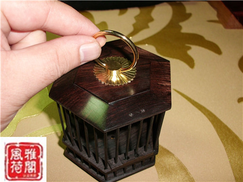 CIMG1118_副本.jpg