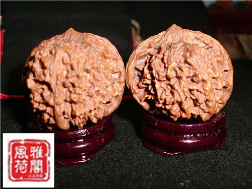 CIMG2982_副本.jpg