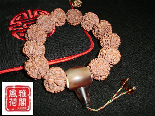 CIMG2909_副本.jpg