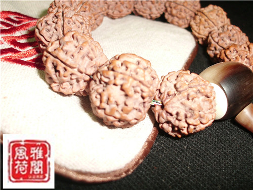CIMG2883_副本.jpg