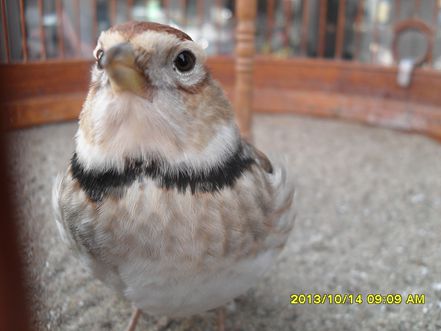SAM_0937.JPG