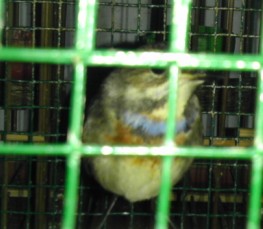 E[8LF]B`B5JMDEVE[WS$I46.jpg