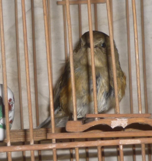 点2.jpg