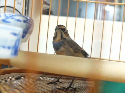 DSCF5364.jpg