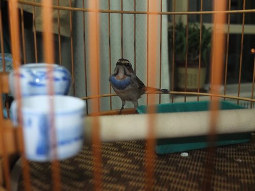 DSCF5368.jpg