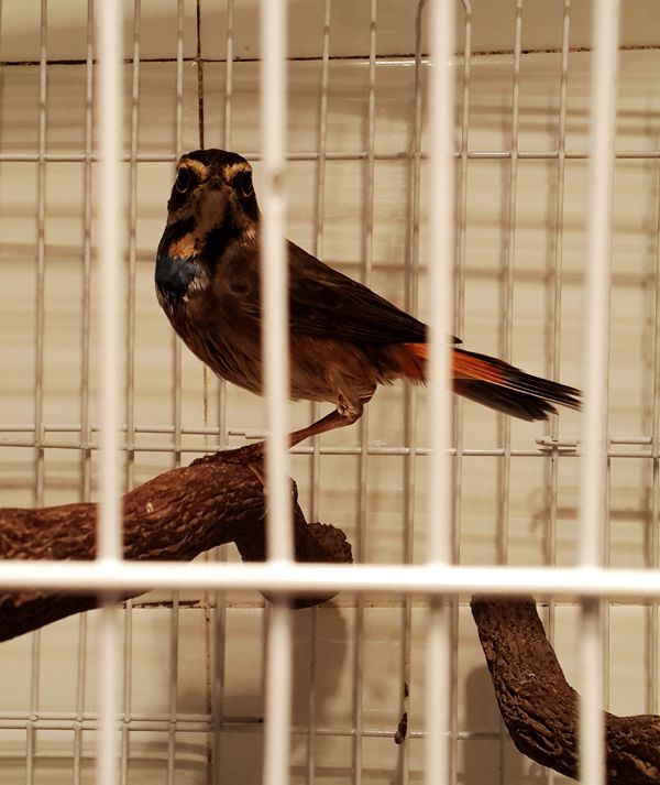 20131013_205748.jpg