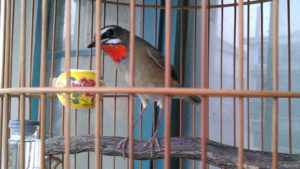 IMAG0024.jpg