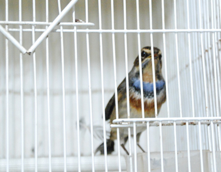 DSC_1248.jpg