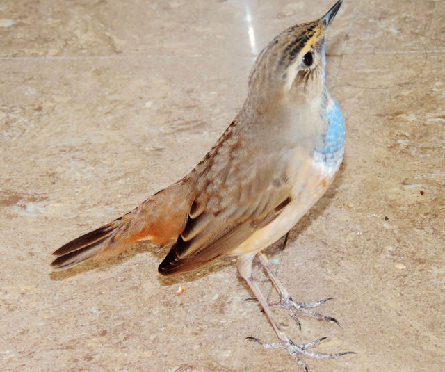 DSCN1655.JPG