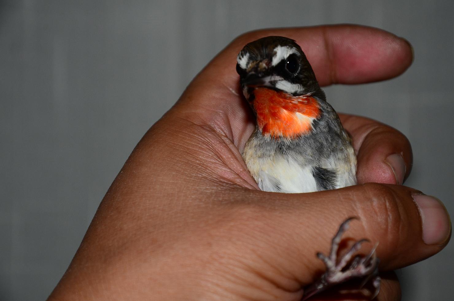 DSC_8749.JPG