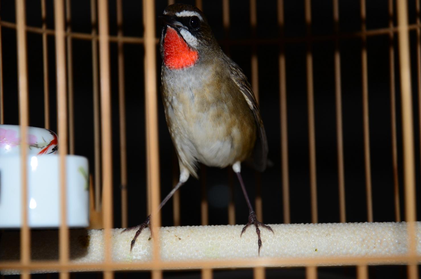 DSC_8711.JPG