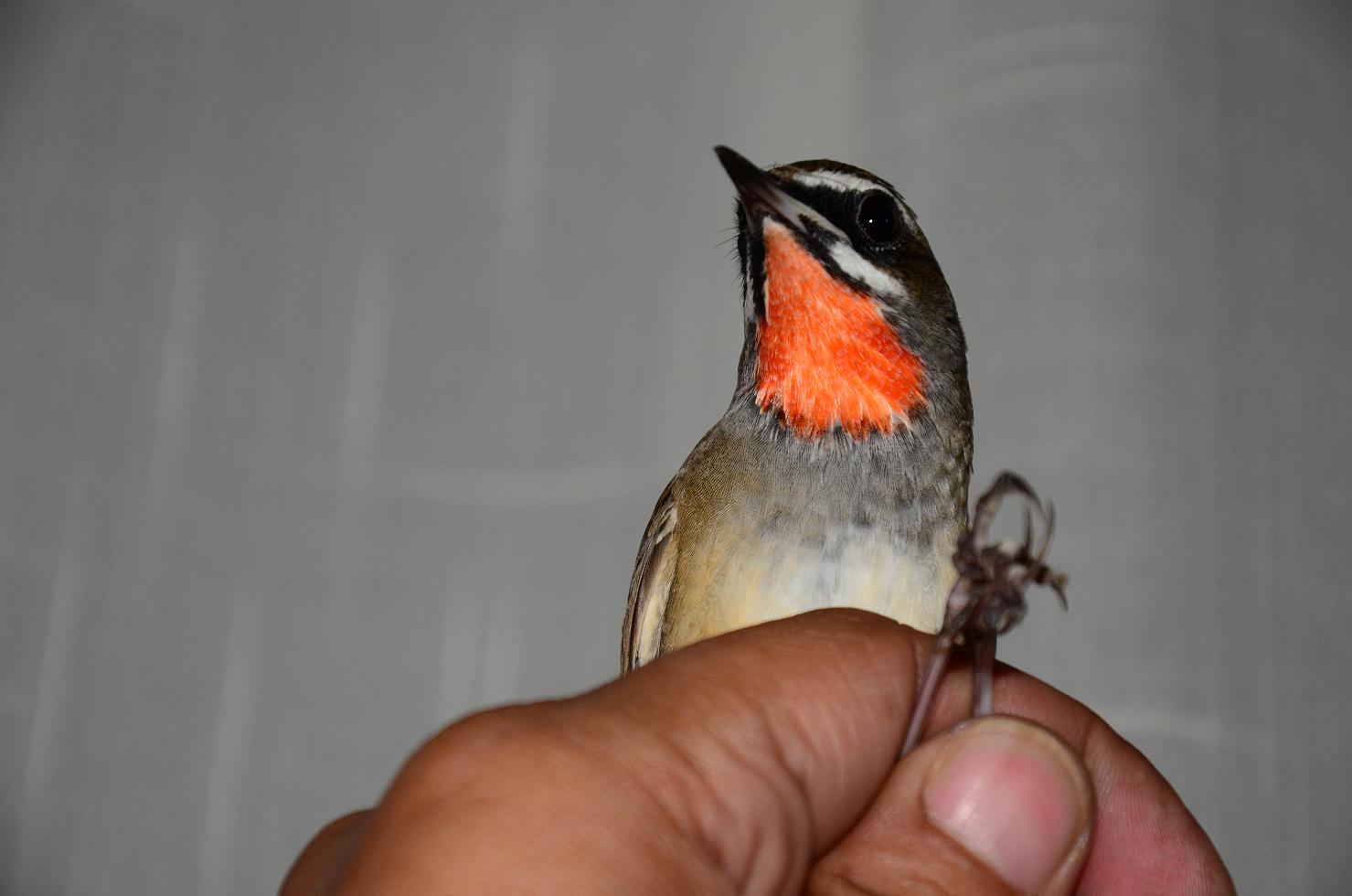 DSC_8765.JPG