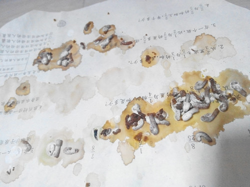 IMG_20131029_200058_副本.jpg