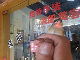 20131003_081907.jpg