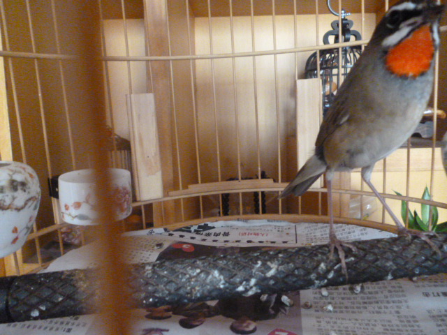 P1010264.JPG