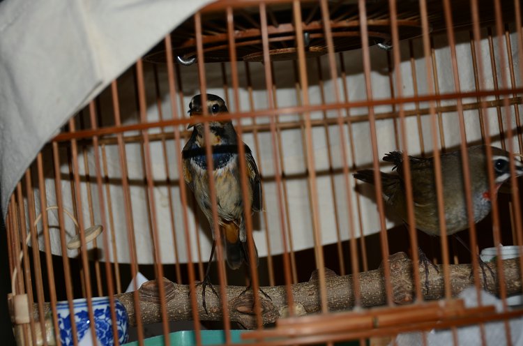 DSC_2272.JPG