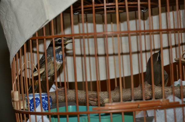DSC_2263.JPG