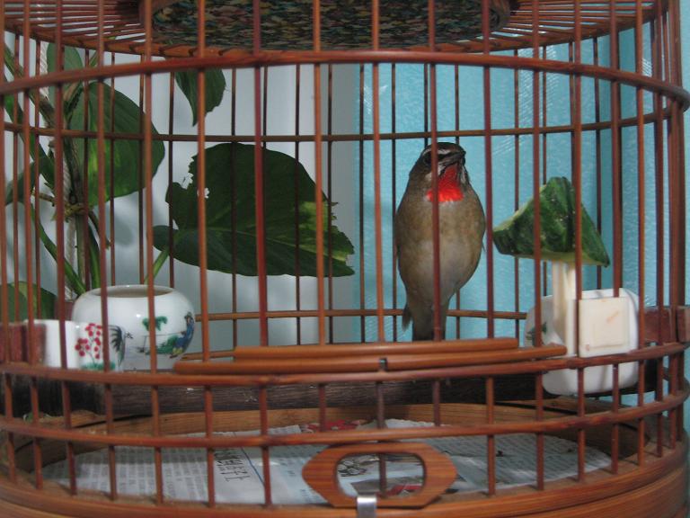 IMG_9227.JPG