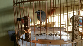 20131008_161630_副本.jpg