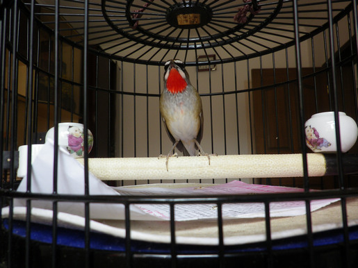 IMGP2601.JPG