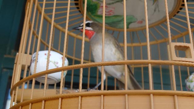DSC00787.JPG