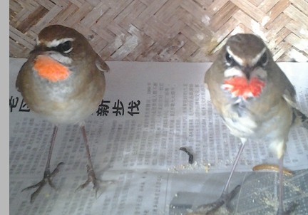 QQ图片20131002192140.jpg