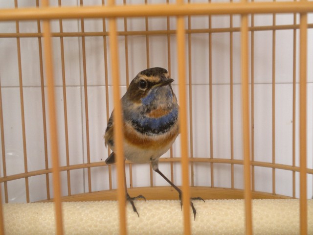 20131006006.jpg