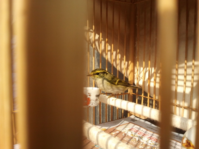 2013-10-30 10.19.46.jpg