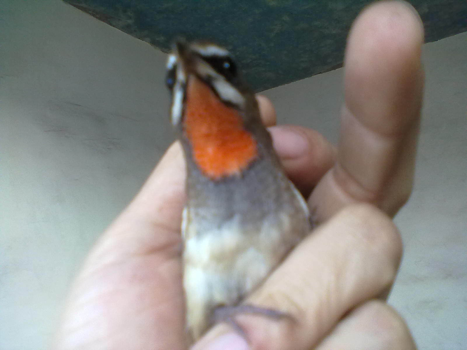 20131006105.jpg