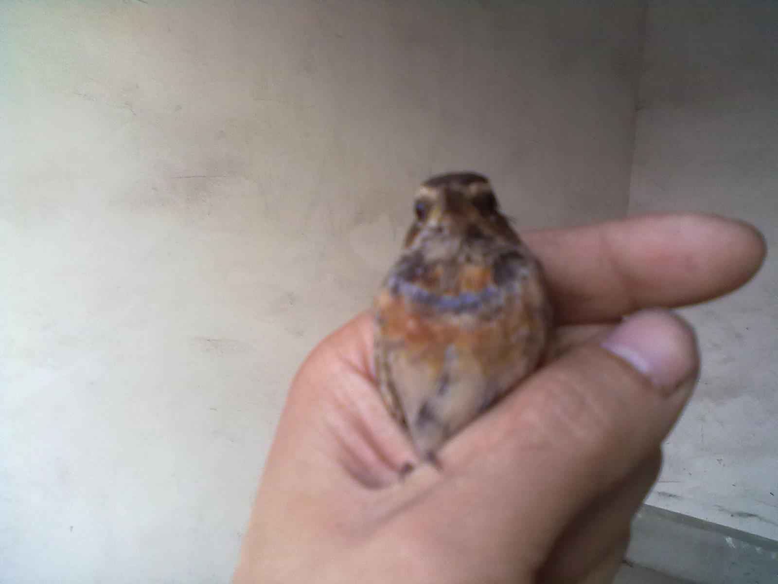 20131006106.jpg