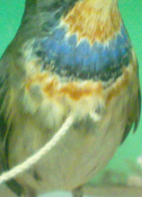 20131030603.jpg