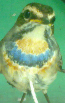 20131030607.jpg
