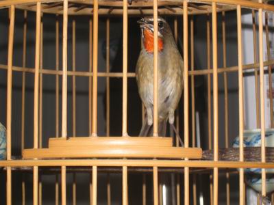 调整大小 IMG_2170.JPG