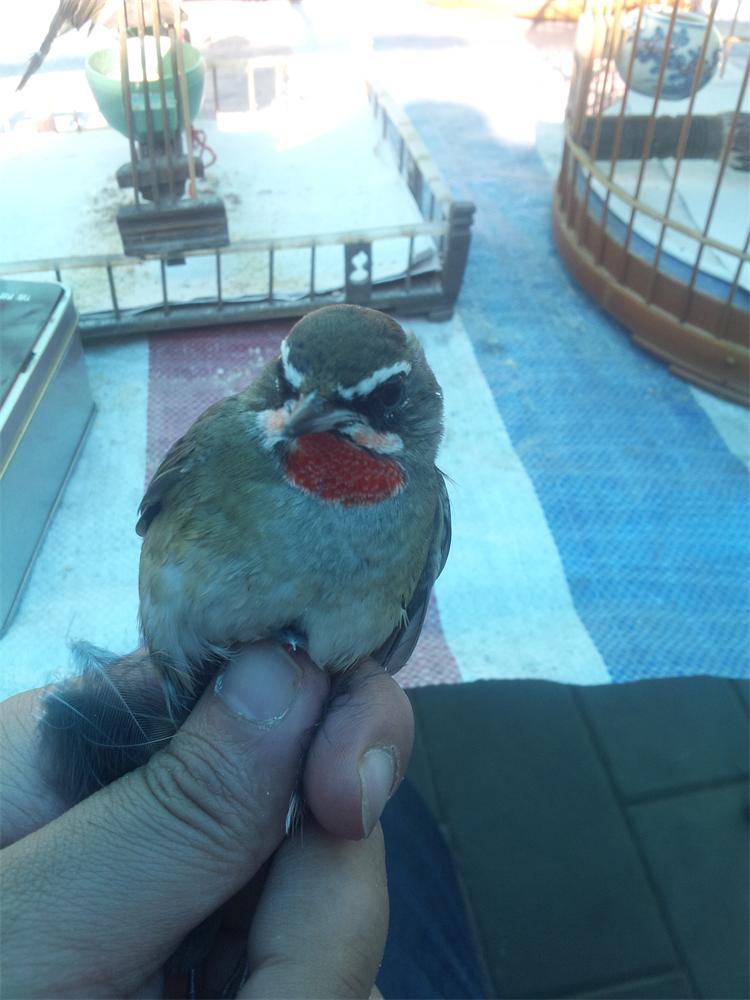 20131002_143007.jpg