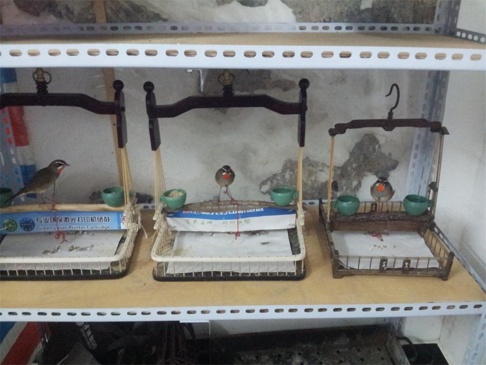20131009_173318.jpg