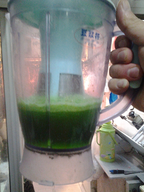 油菜汁和菜浆一起到入盆里11.jpg