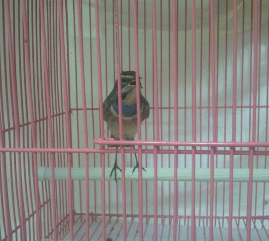 %OKYDMN$UVVTL6)X~F24LKF.jpg