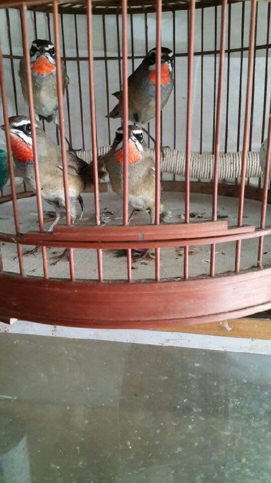 QQ图片20131002121849.jpg