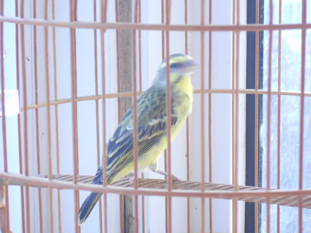 DSCN2012.JPG