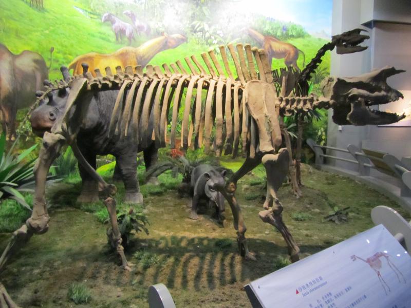 1 (36).jpg