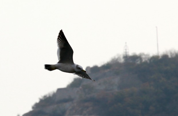 IMG_5679.jpg