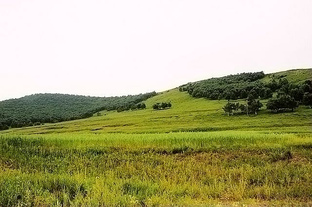IMG_3459.JPG